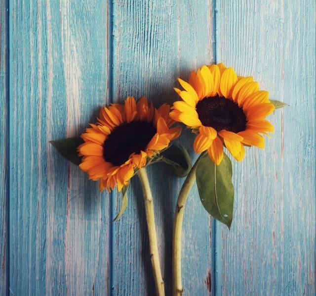 怎么判断一个人会不会长久爱你,如何判断一个人爱上你