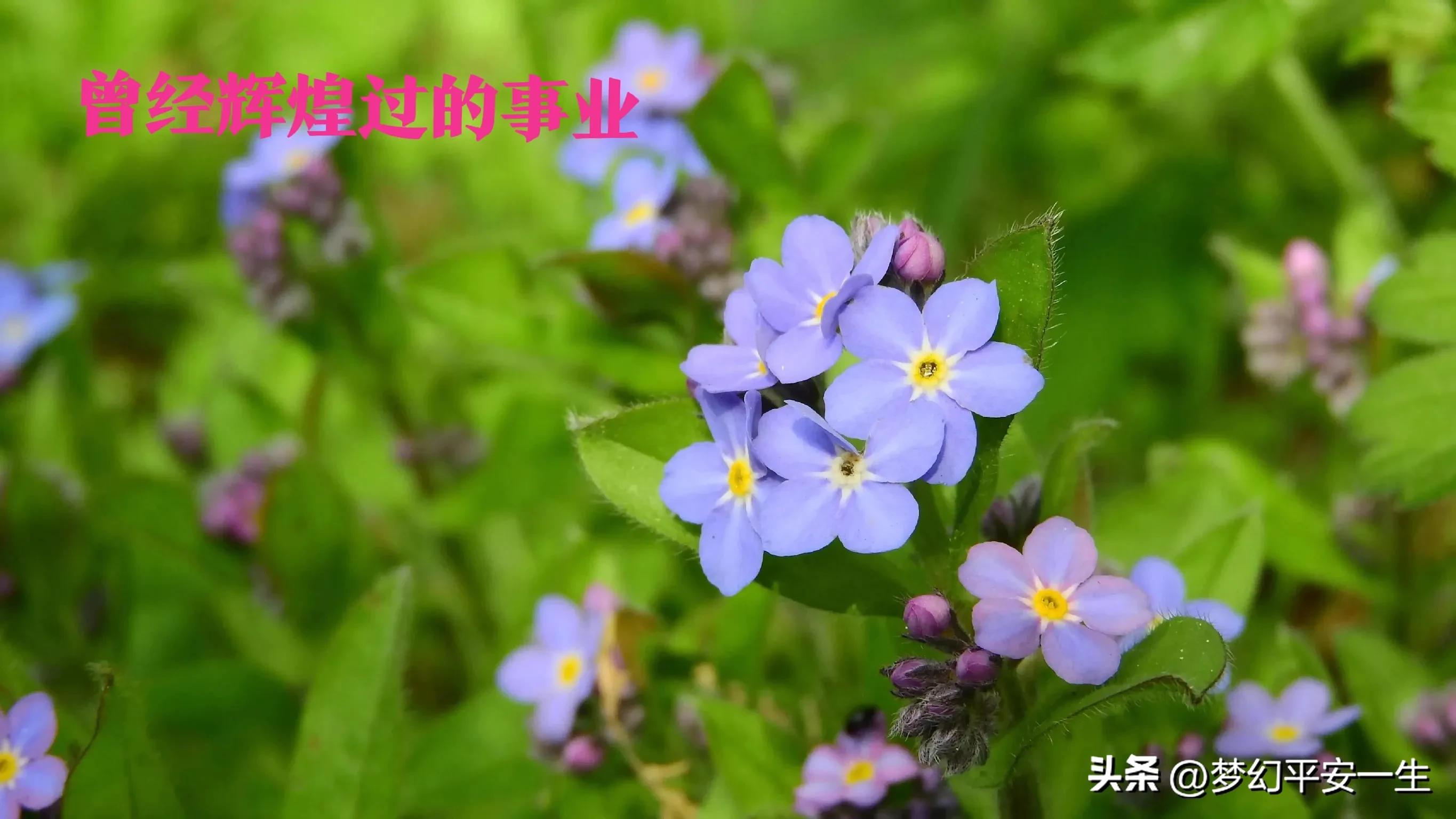 供销社经历的困难,怎么在供销社赚钱