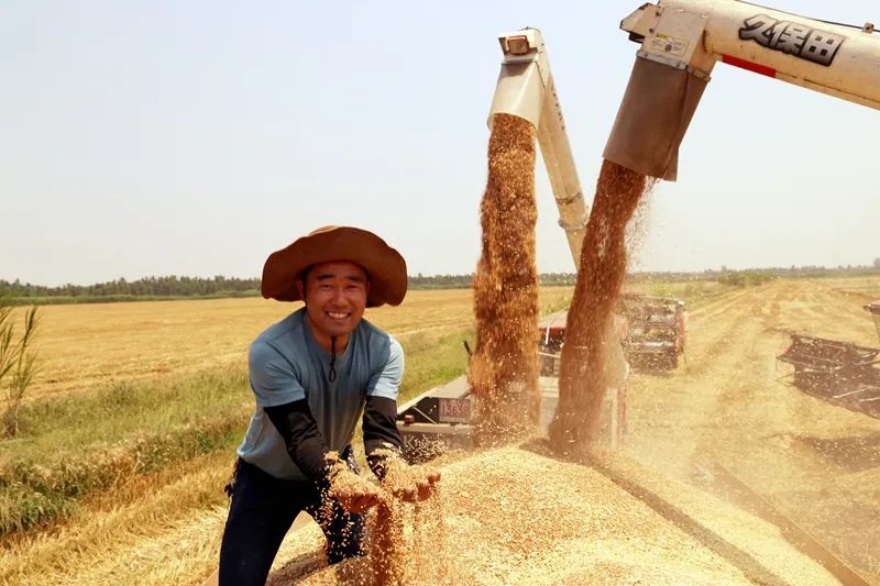 今年安徽64.7万学子报名高考，所有考点均设智能安检门