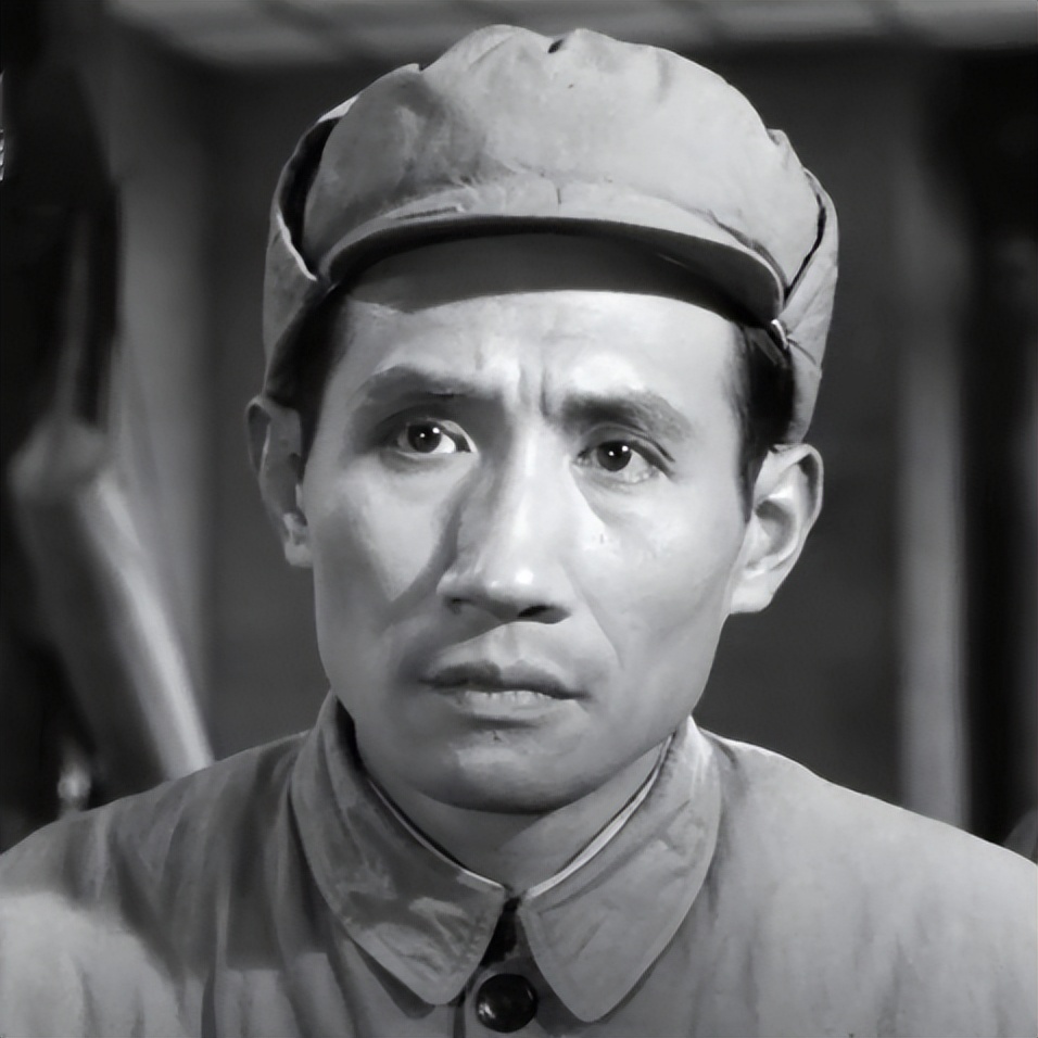 关于革命的小说红日简介,长篇小说红日沈振新的原型是谁