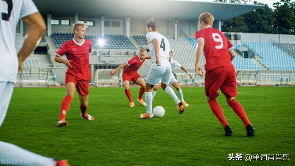 有言有味说什么,有言有味说单词读后感