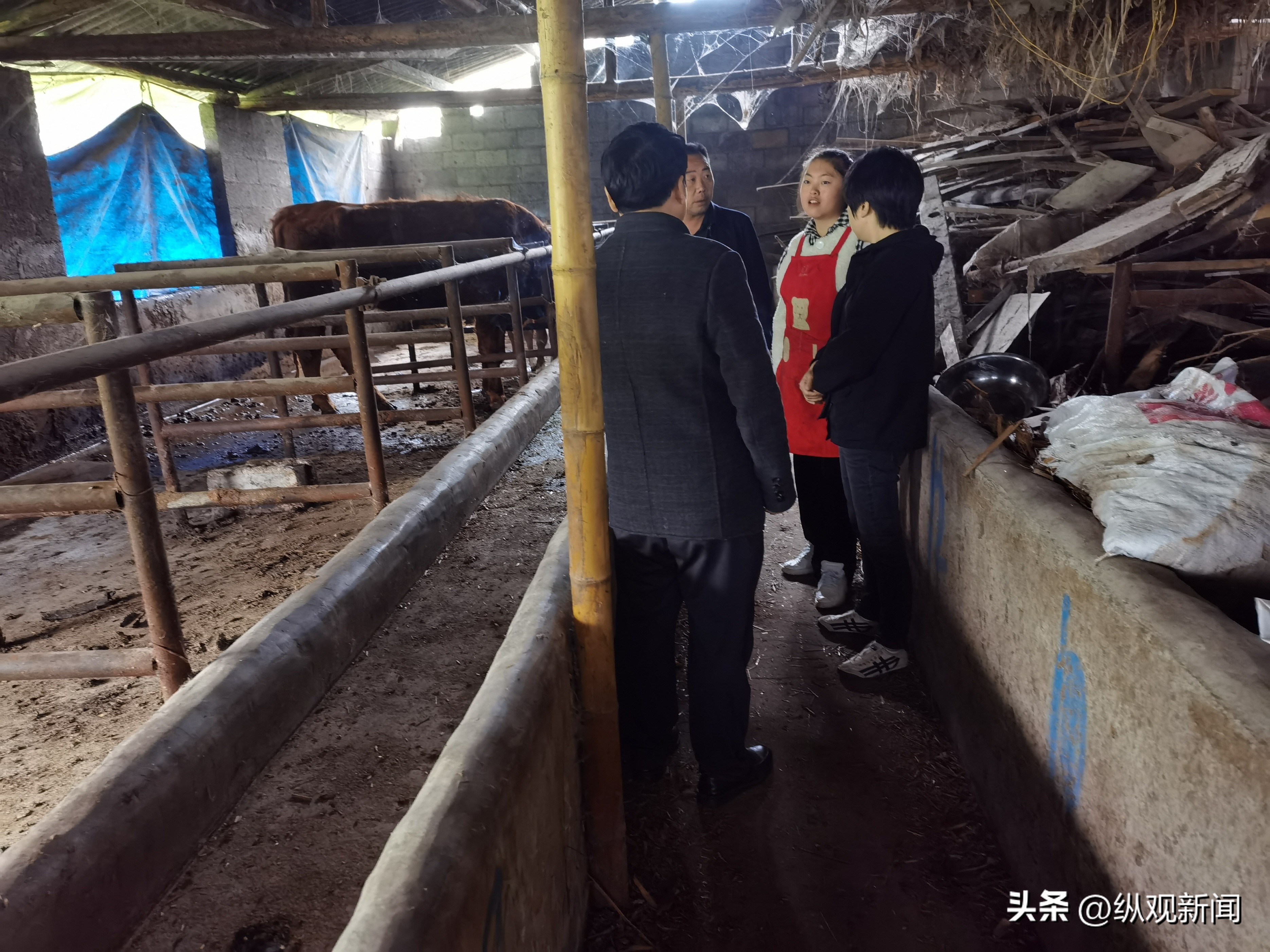 青年就业创业走访调研,昆明市就业创业工作座谈会