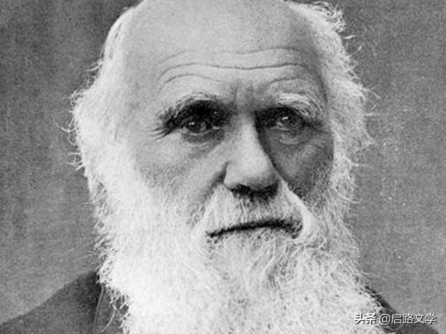 珍惜时间的达尔文经典语录,达尔文关于自然之道的名言名句