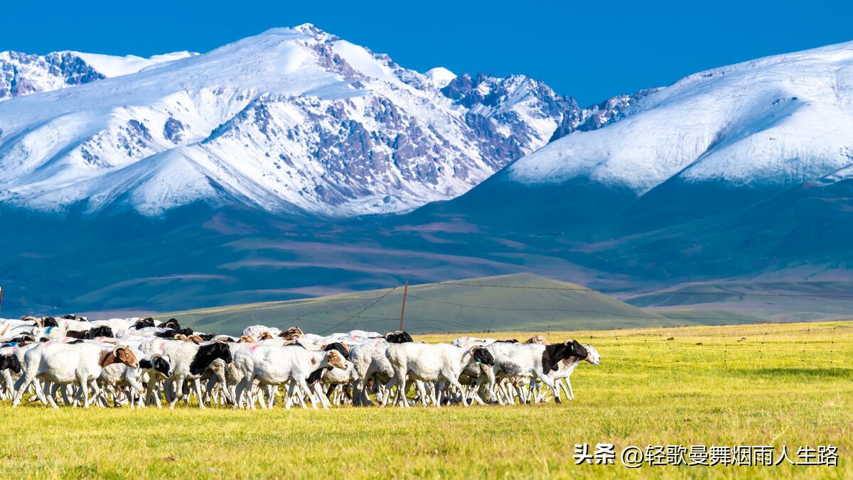 35岁之前怎么避免40岁失业,四十岁失业应该先做什么