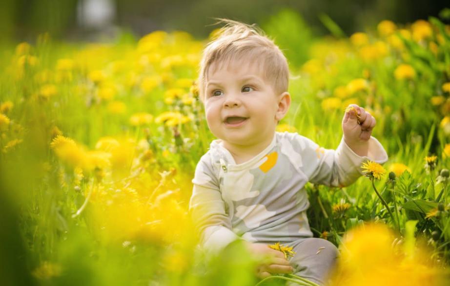 杨姓鼠年男孩起名两字名字一样吗,杨姓男宝宝起名最新羊年名字