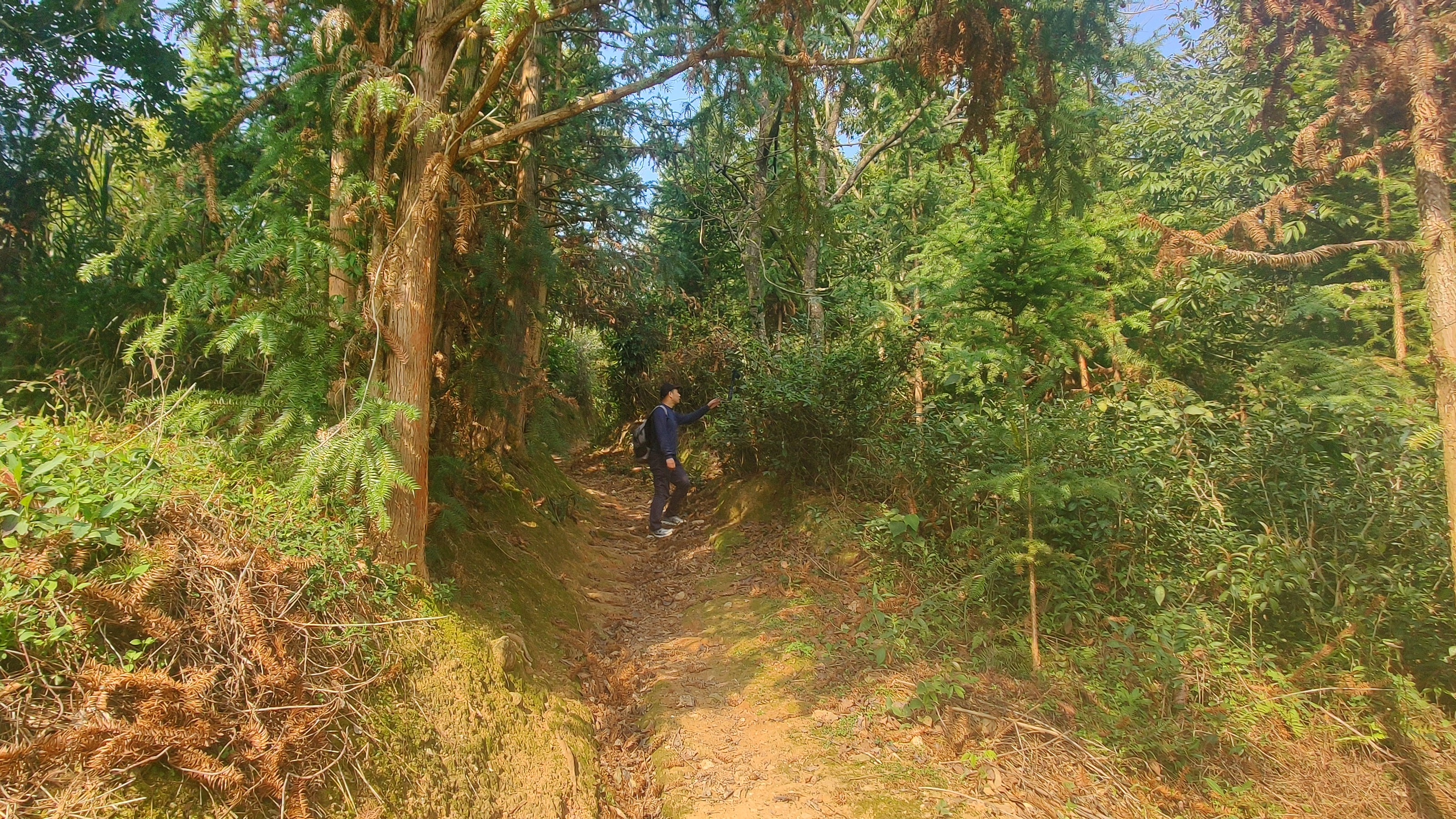 徒步三叠井森林公园，拥抱采兰溪，走进大自然