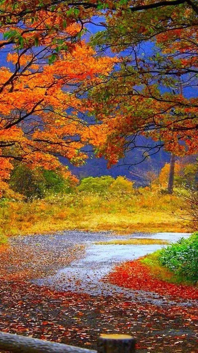 心旷神怡风景壁纸,100张绝美自然风景壁纸