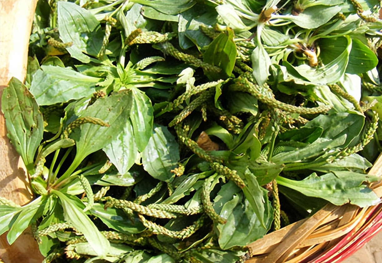 盆腔炎喝水腹痛加重,盆腔炎腹痛难忍打消炎药好吗