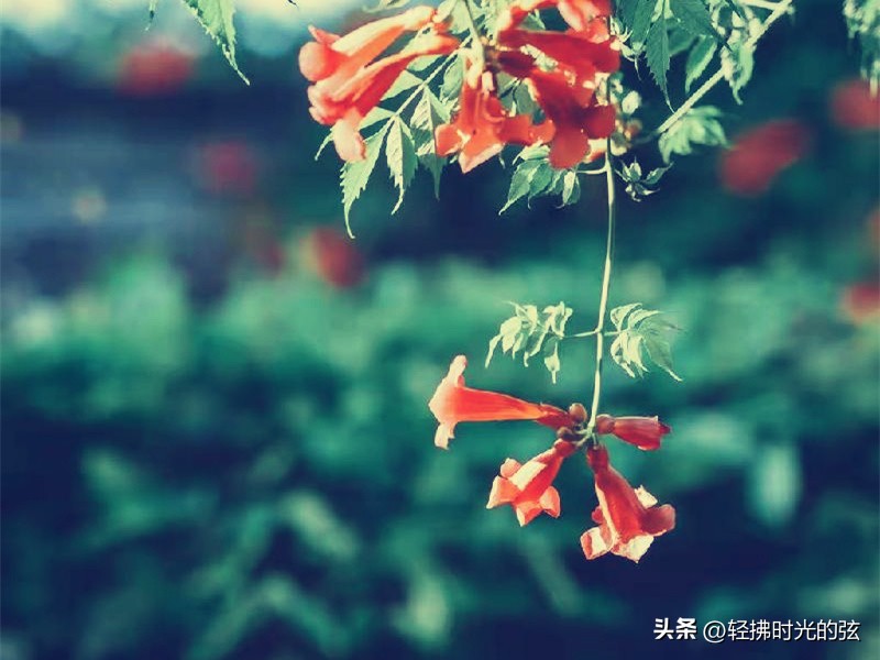 杜牧诗词最佳十首,杜牧诗七言绝句千古名句