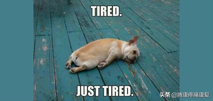 最新运动指南实锤,高效又轻松的运动指南