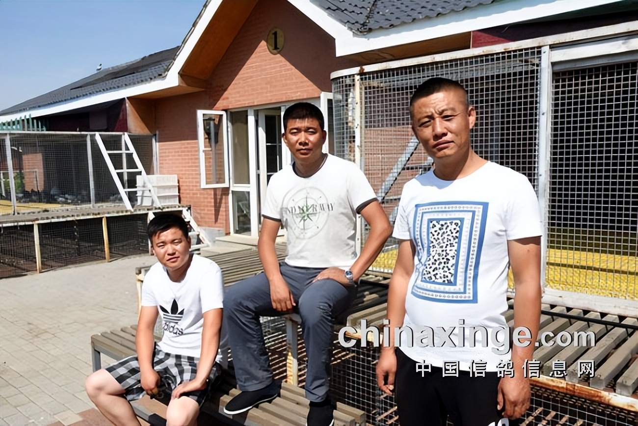 开创者教练何贵：赛鸽贵在坚持