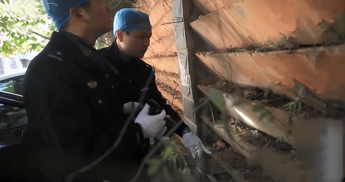 金店被盗真相揭秘视频,金店被盗真相大白