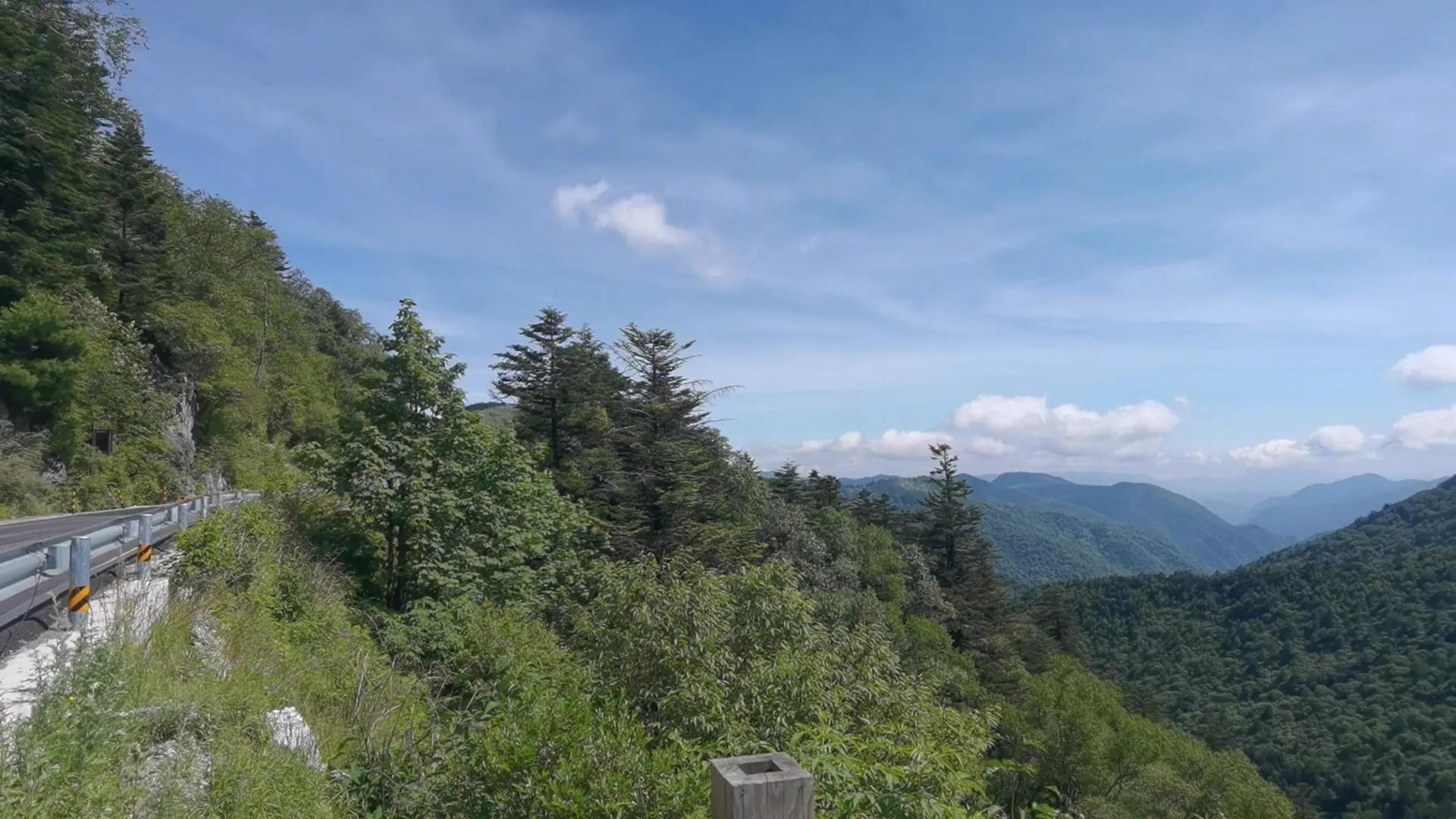 神农顶大九湖一日游价格,神农顶大九湖一日游