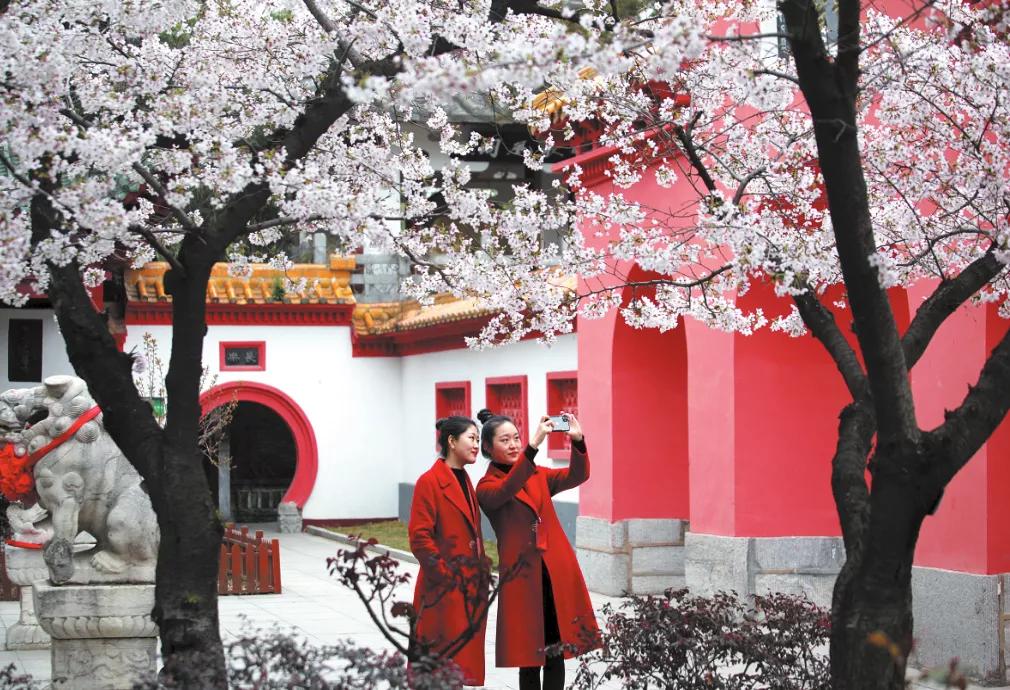 爱看南阳㉟你好2022，再见2021