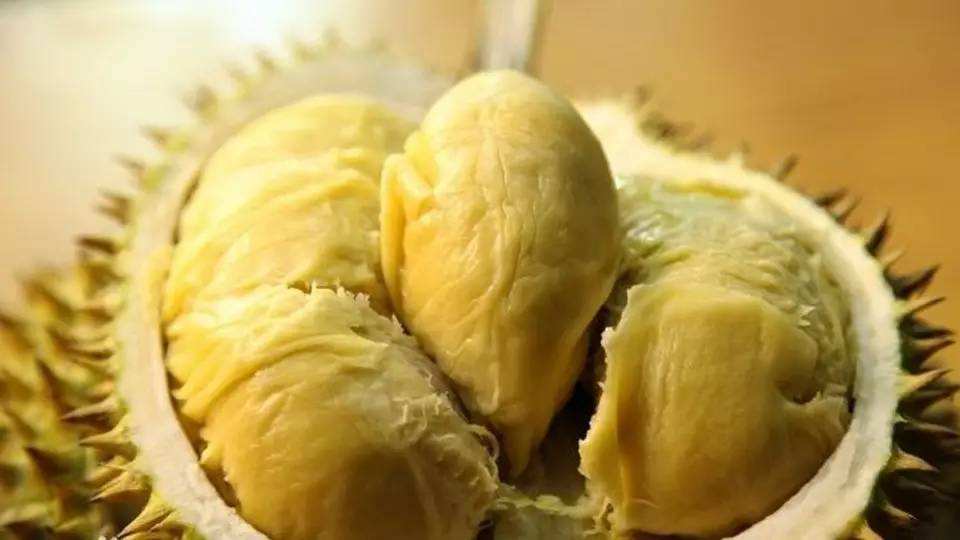 马来西亚国宝级的水果，价格为何如此昂贵，是割韭菜交智商税吗？