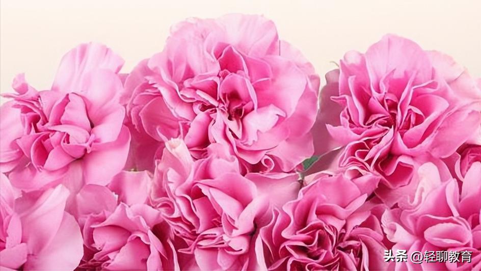 教师节教育故事,教师节让老师感动活动