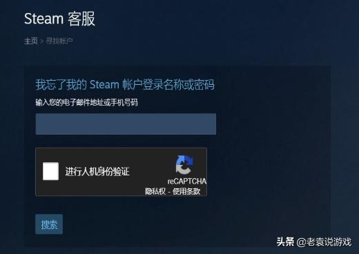 为什么steam不显示机器人验证,steam不显示机器人