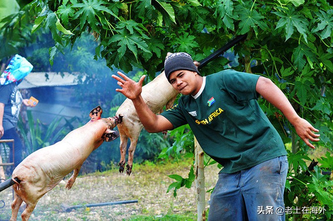 汤加面临的是火山喷发还是海啸,汤加火山爆发汤加还好吗