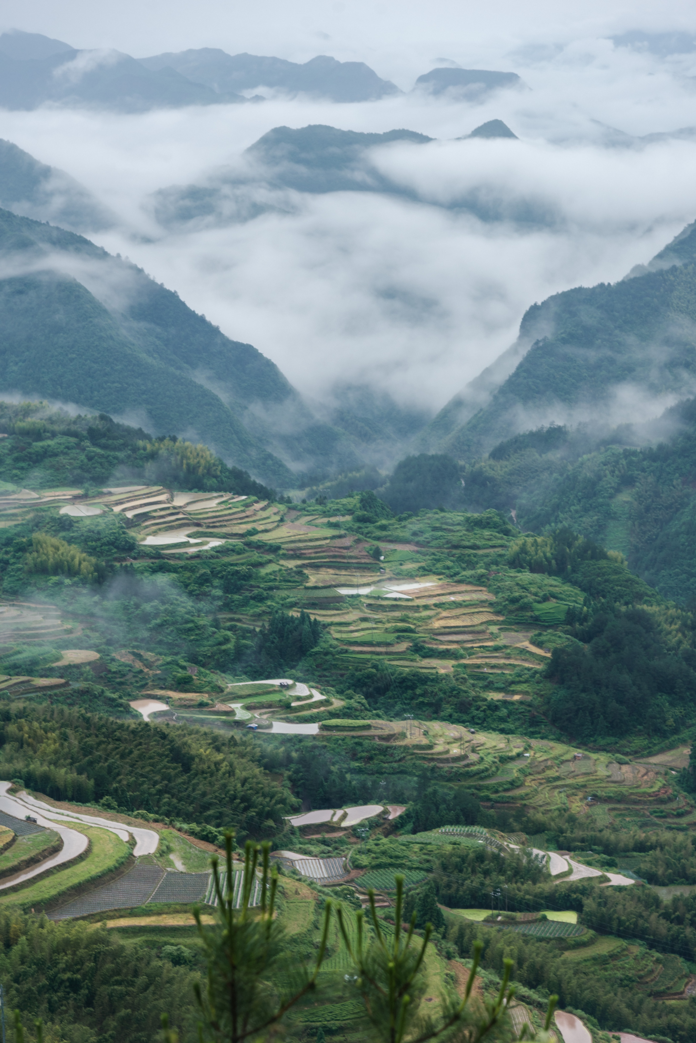丽水遂昌旅游攻略一天游 (丽水遂昌被称旅游胜地)