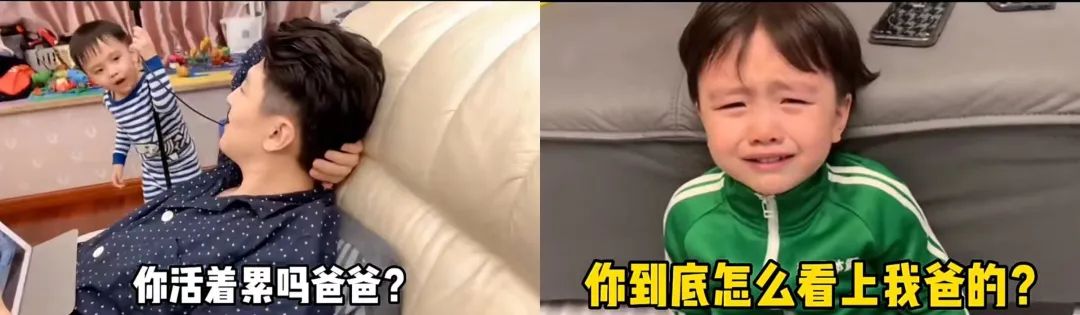 一个月涨粉最多的网红,最近一周涨粉最多的网红