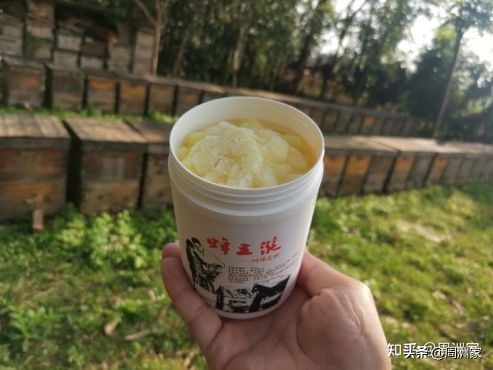 蜂王浆是怎么生产的,蜂王浆的储存方法和食用方法