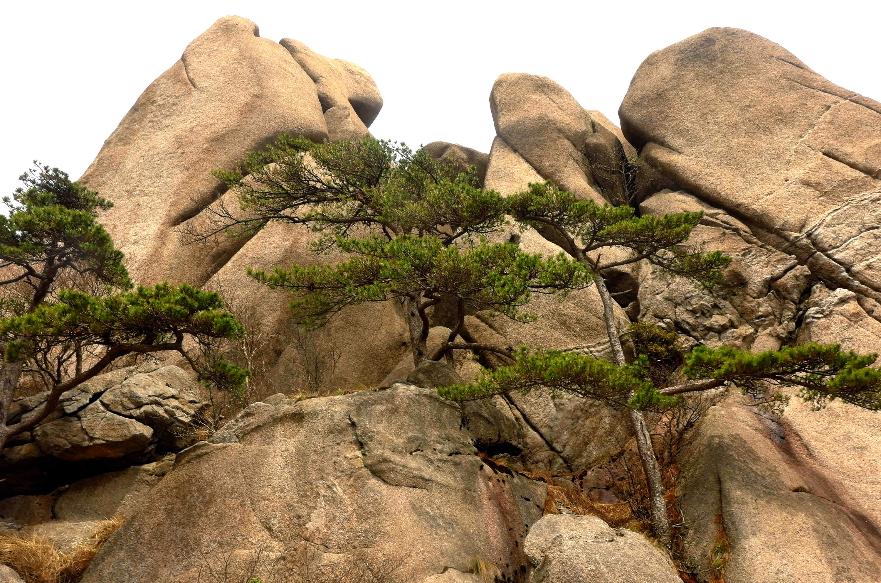 黄山天都峰会走鲫鱼背吗,黄山天都峰鲫鱼背第一视角
