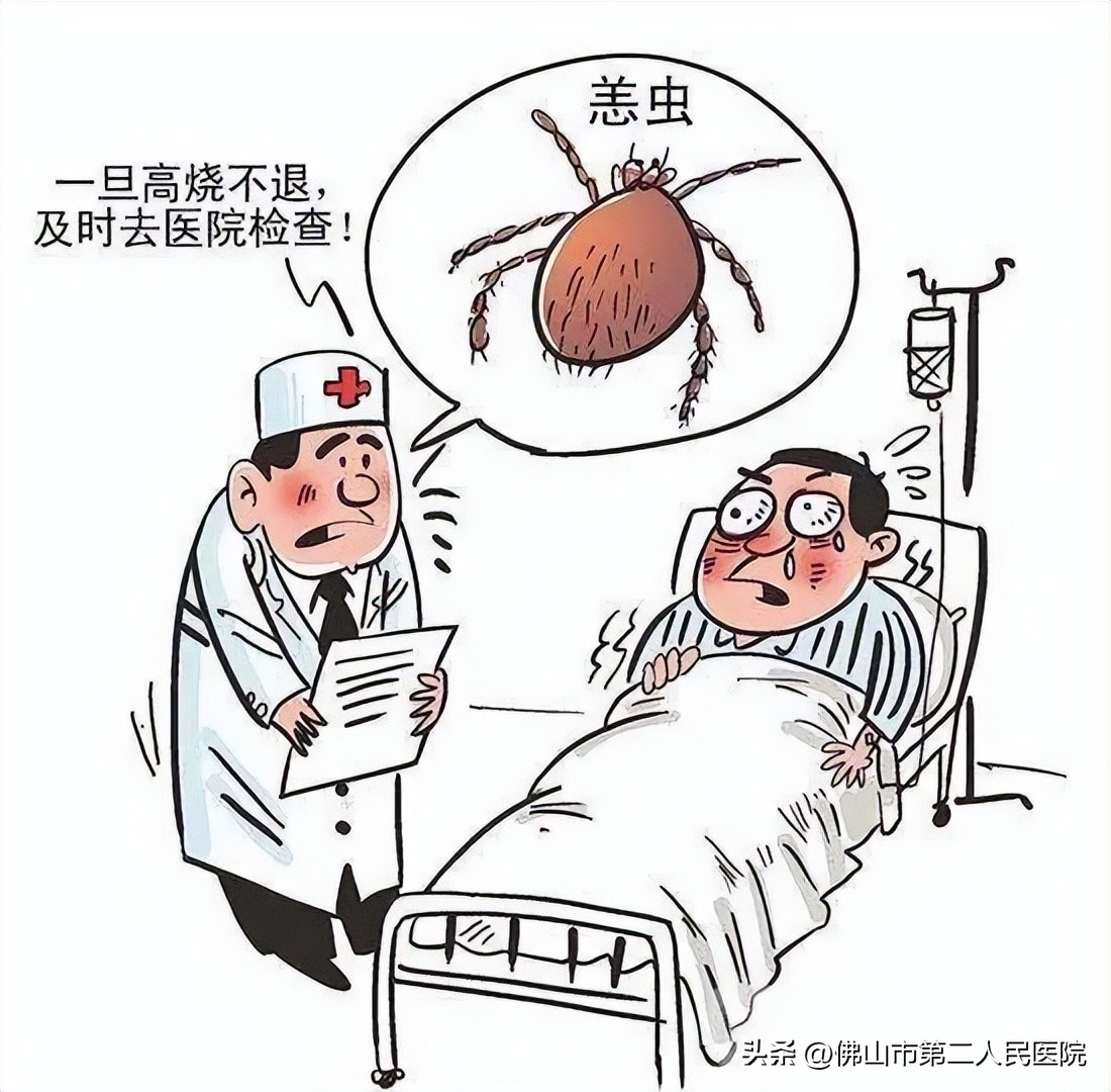 穿黄色衣服惹虫,春天穿黄色衣服招虫吗