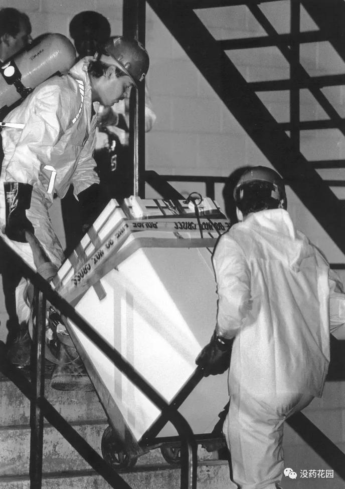 连环杀人案美国,美国1993真实连环杀人案