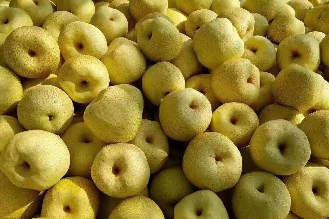 当年火遍全国,当年火遍全国的神车