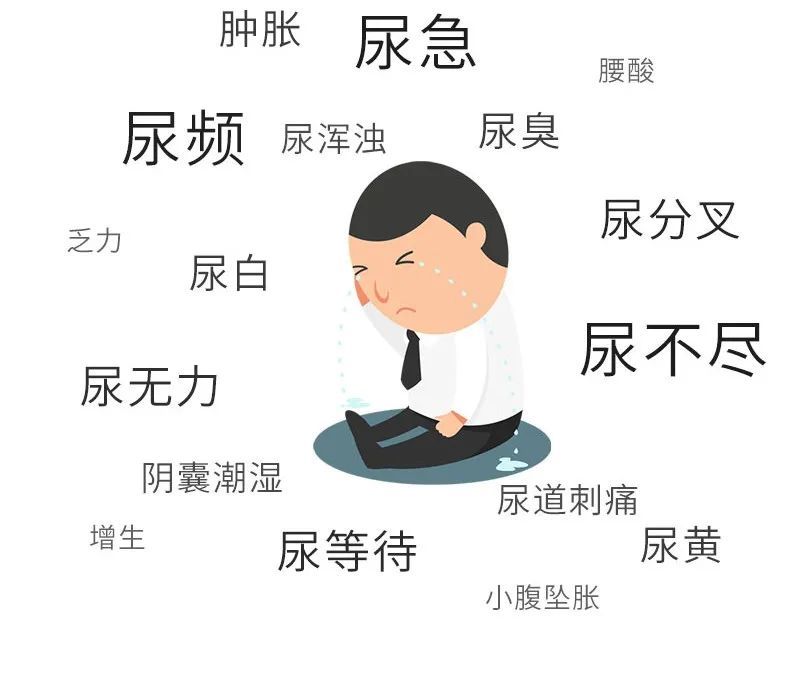 前列腺增生的尿潴留能治愈吗,前列腺增生尿潴留中药处方