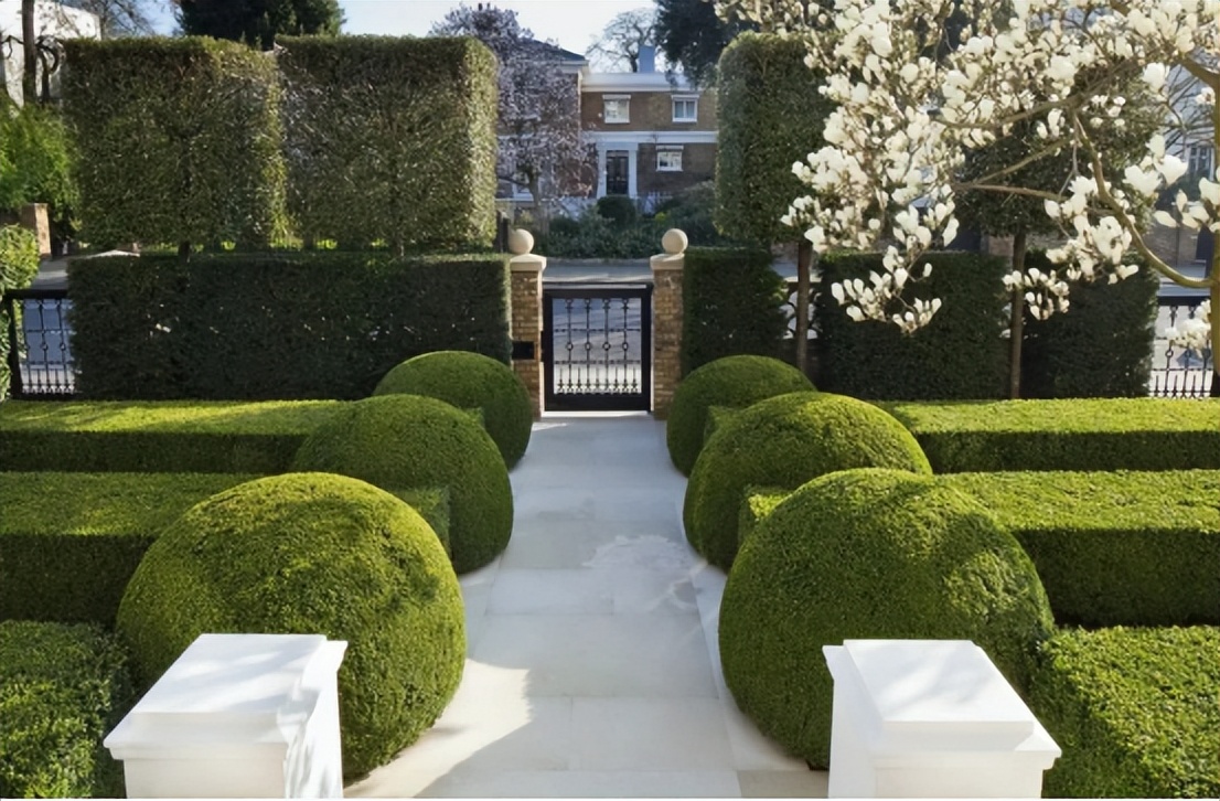 那些被我们忽略的风景,球球景观