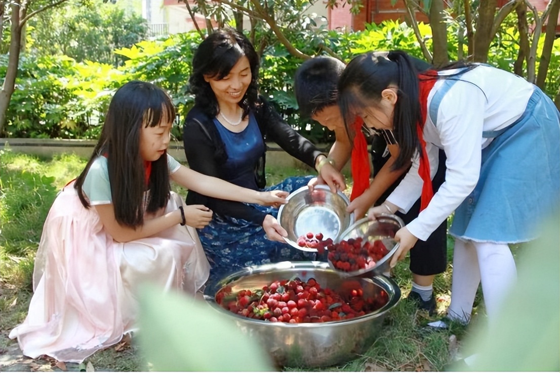 宜宾叙府实验小学排名,宜宾市叙府实验小学教学质量排名