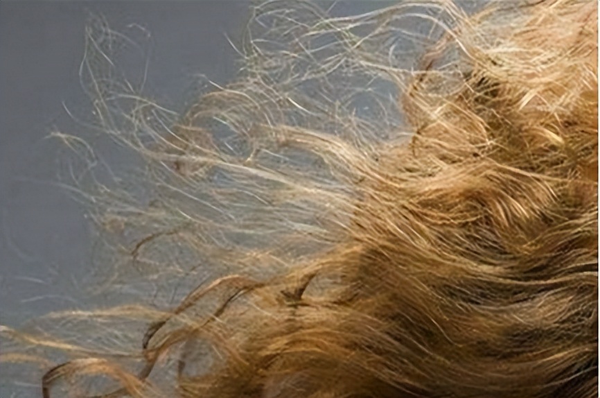 涓濊姮鎶ゅ彂绮炬补瀹樻柟,涓濊姮鎶ゅ彂绮炬补