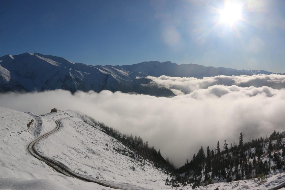全球疫情影响下，土耳其护照为何备受高净值人群的青睐？