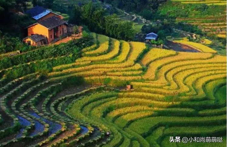 俗语“男猫三点水，女猫一丘田”是什么意思？有什么说法和道理？