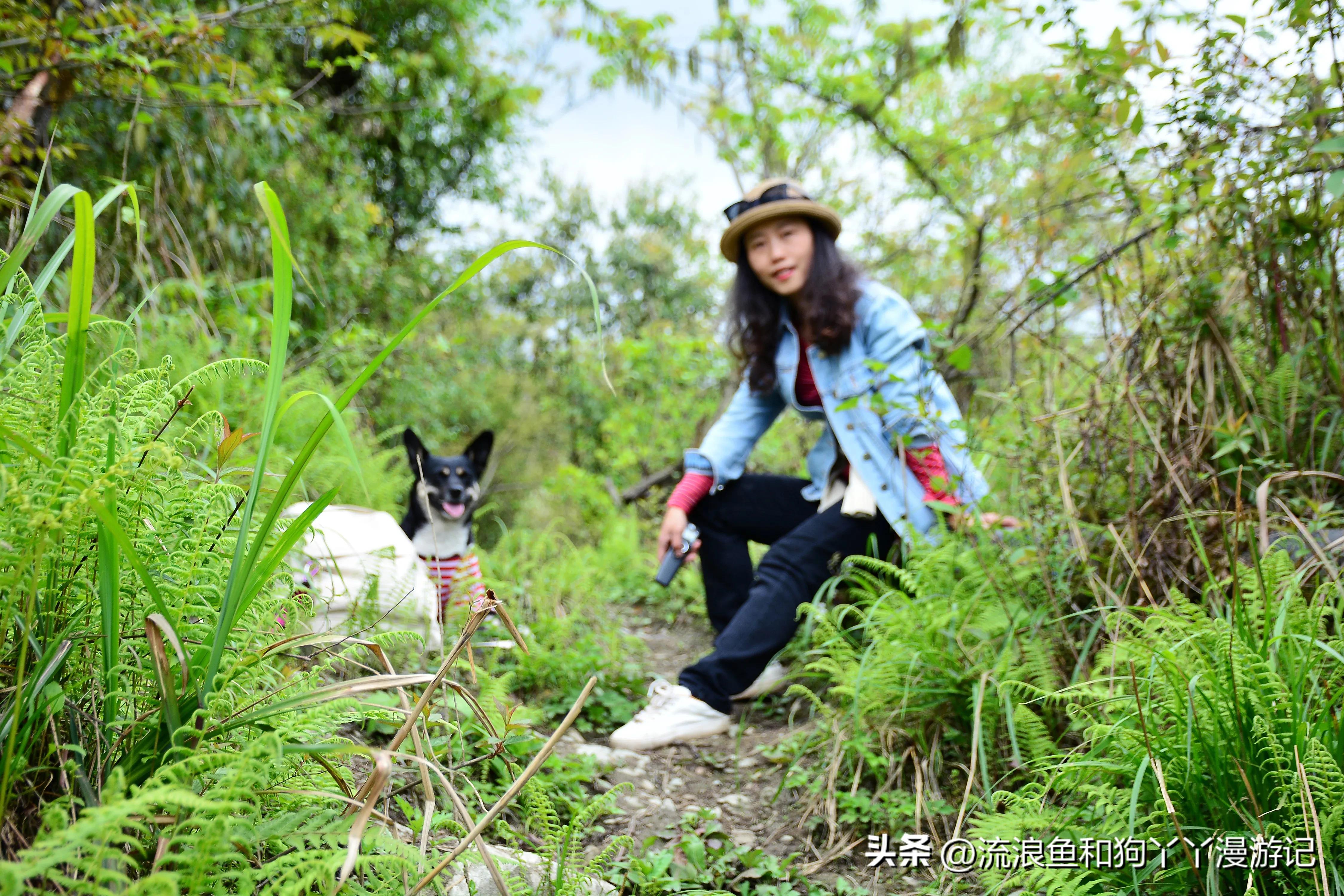 四月份成都近郊一日游好去处,2022成都近郊看雪一日游最佳去处