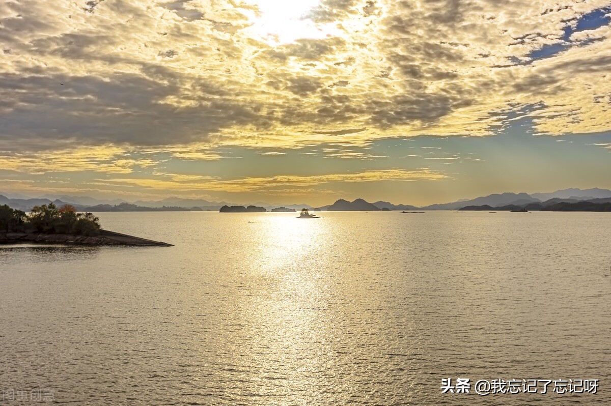 合租女室友让我冒充男朋友,合租室友让我假装男朋友