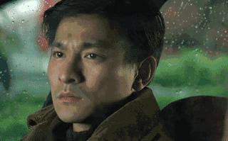 刘德华私生饭杨丽娟,杨丽娟事件刘德华是怎么回应的