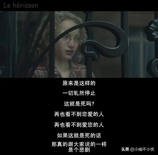 刺猬的优雅书评,刺猬的优雅观后感800字