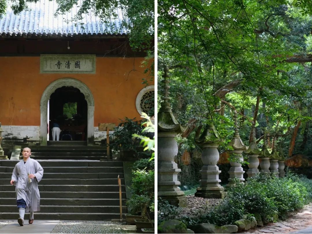 夏天凉快风景好又有水的旅游景点,夏天旅游景点哪里最好玩