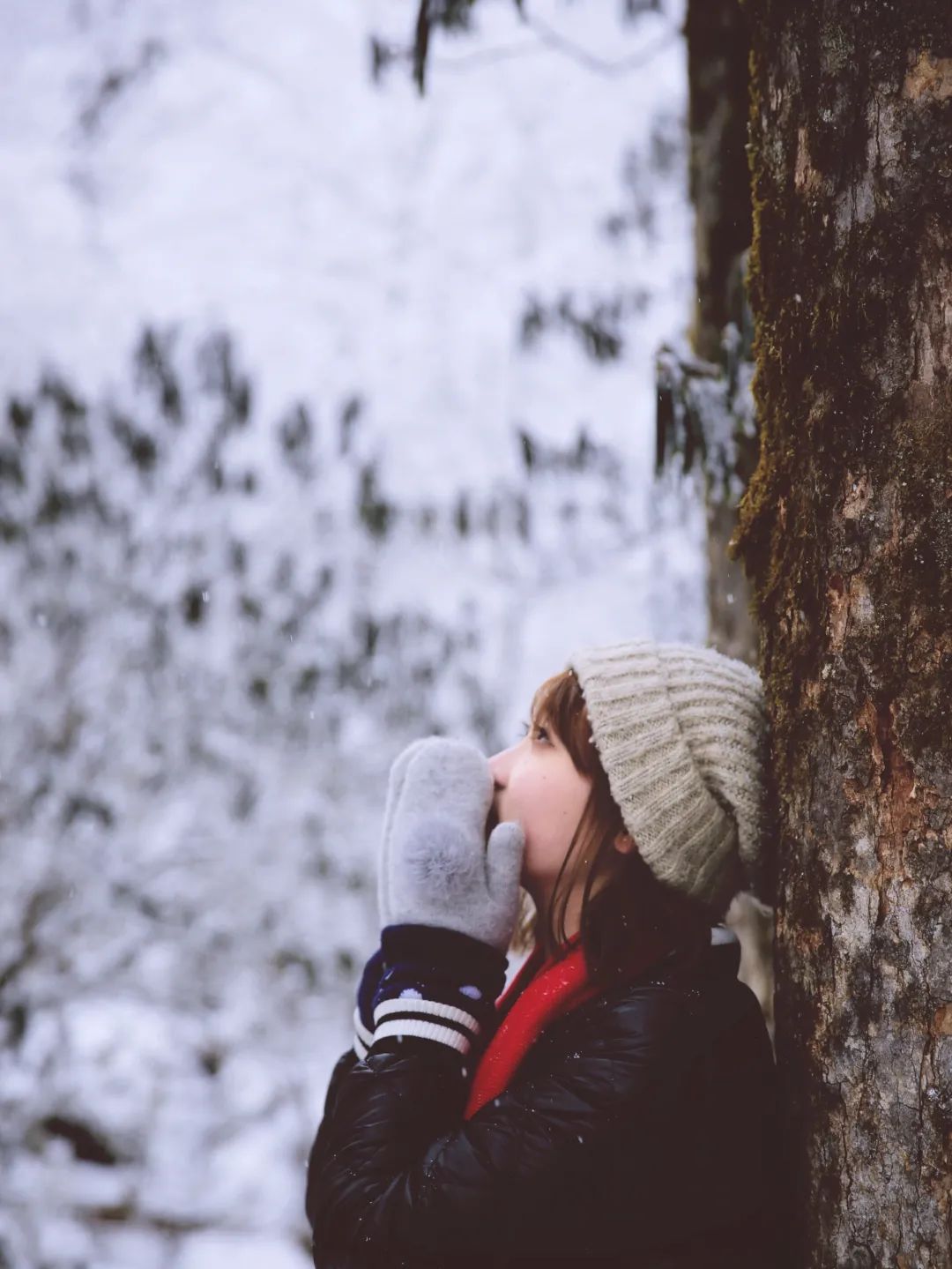 318最美川藏线之海螺沟冰川公园,稻城亚丁和泸沽湖旅游攻略