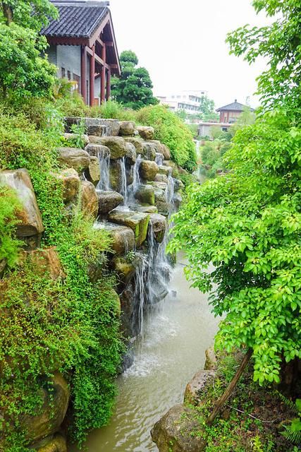 生如夏花演唱视频,生如夏花朴树完整版