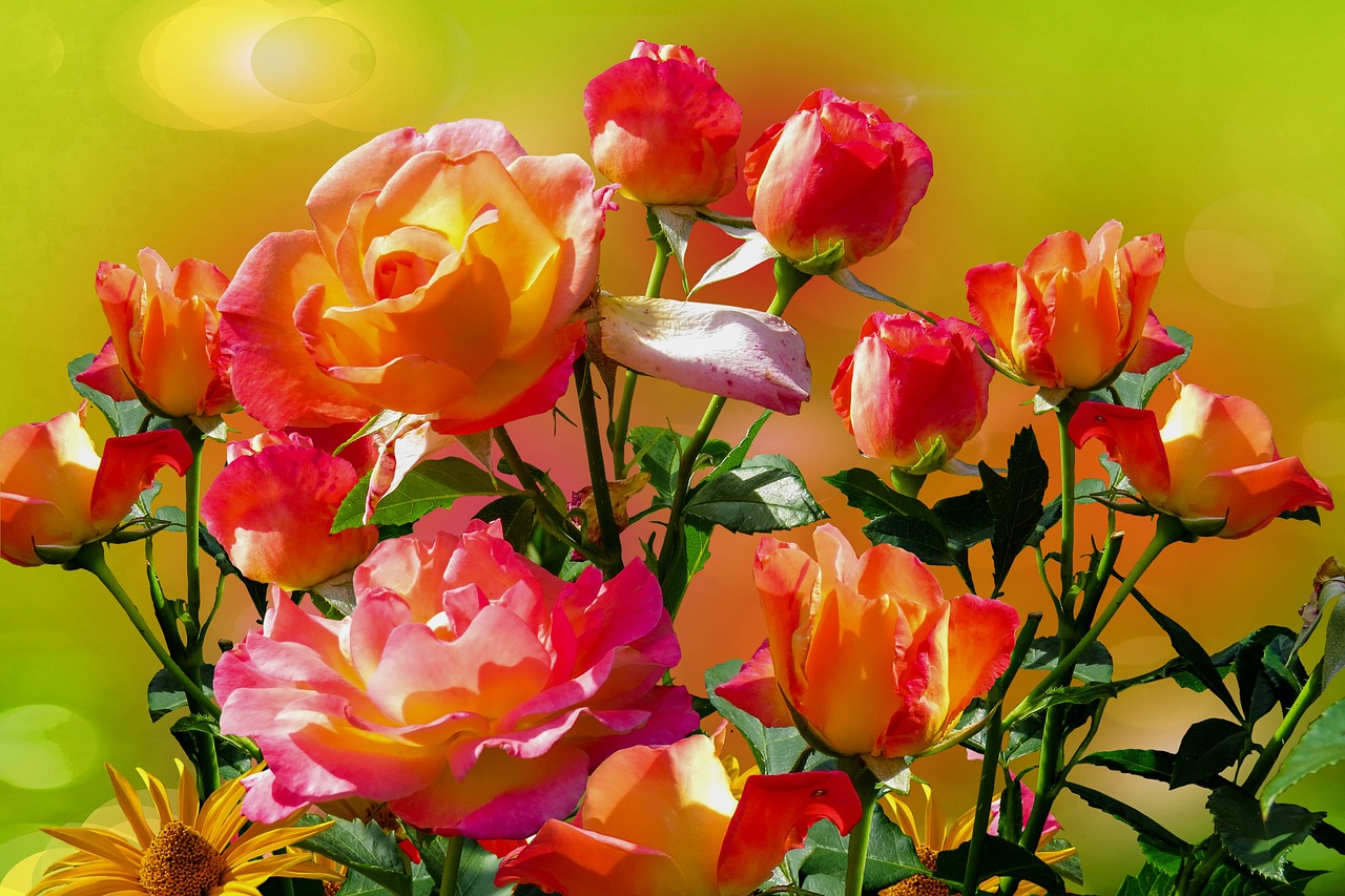 细节可以看出男人爱不爱你,一个动作看出男人到底爱不爱你