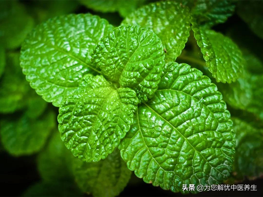 急性腹痛的定义,老年人急性腹痛