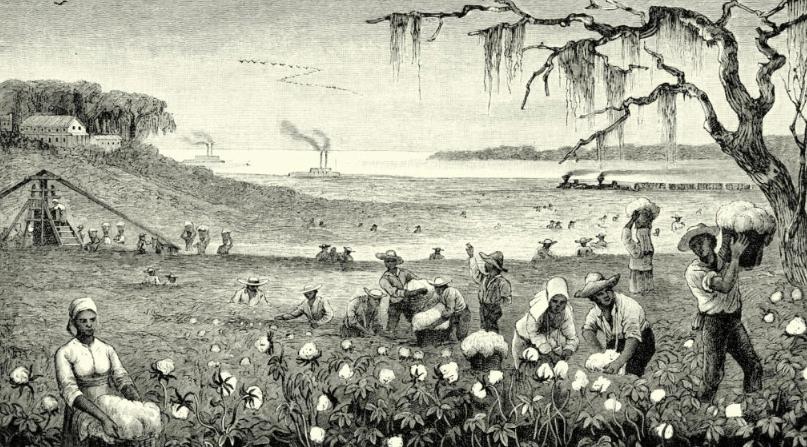 黑奴贸易：非洲*奴女**基因入侵美国基因库中黑人基因比例明显更高