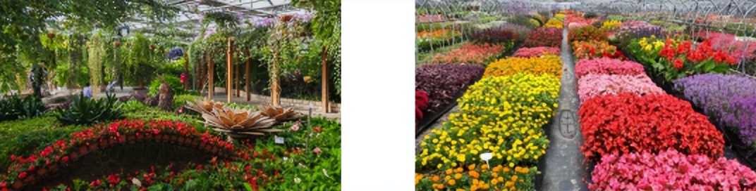 在休闲度假区有什么项目可操作,快来看看哪些项目更受欢迎