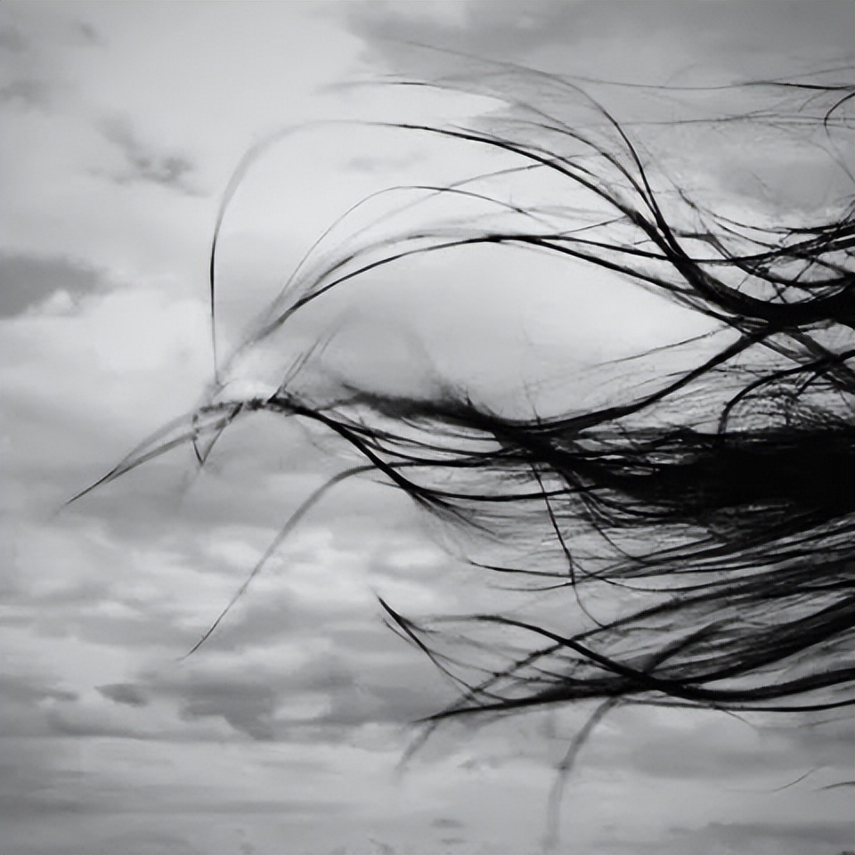 知言合一教育怎么样,知言合一学习插画怎么样