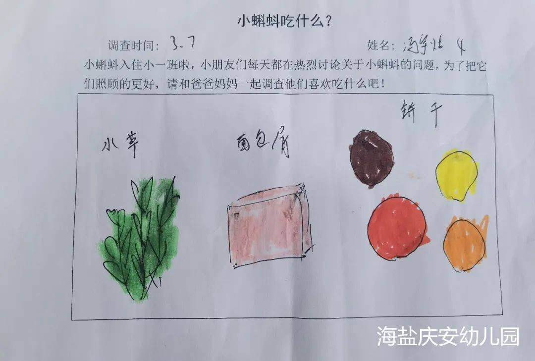 邂逅蝌蚪，感受生命的演变—诺亚舟海盐庆安幼儿园小一班