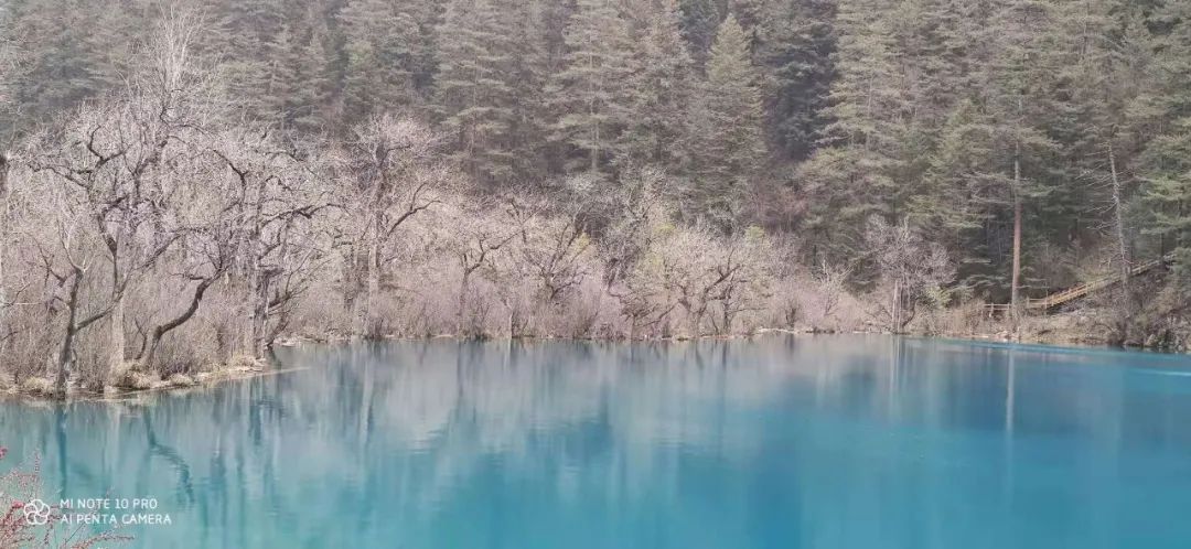 宸濊タ娴极鐨勫ぉ鑺辨澘,鏃嬭浆鏈ㄩ┈宸濊タ缇庢櫙