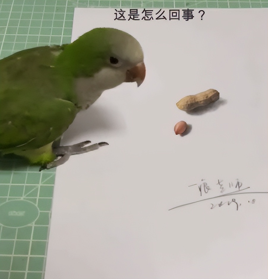 3D绘画牛人多厉害？画出真假难辨的“立体美女”，震惊500万网友